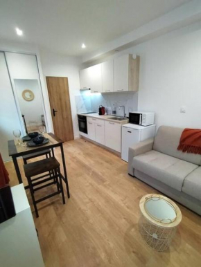 Modern studio Bellegarde Bellegarde-Sur-Valserine